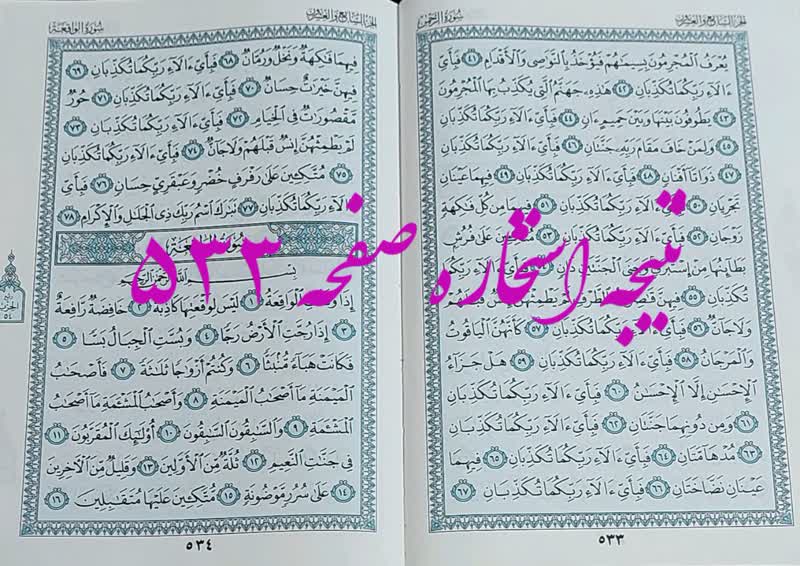 پاسخ استخاره ص 533 قران