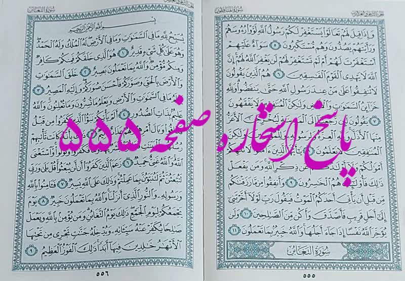 پاسخ استخاره ص 555 قران