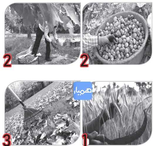 جواب صفحه ۳۴ درس ششم کتاب کار زبان هشتم