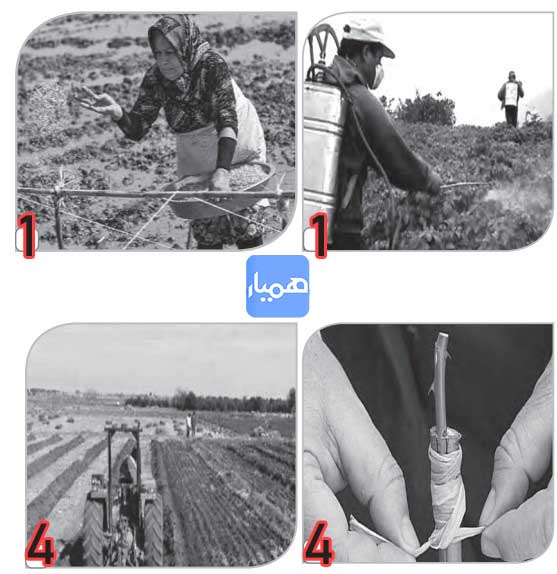 جواب صفحه ۳۴ درس ششم کتاب کار زبان هشتم