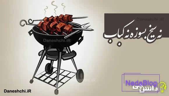 نه سیخ بسوزه نه کباب 