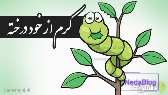 کرم از خود درخته 