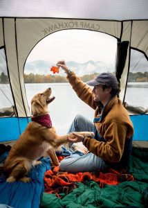 به سرپرستی گرفتن سگ