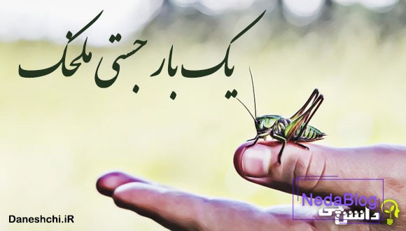 یك بار جستی ملخک یك بار جستی ملخک