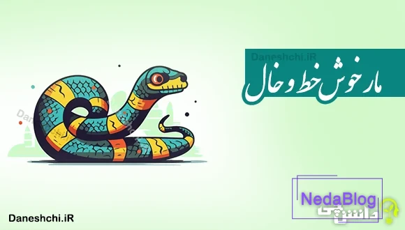 مار خوش خط و خال