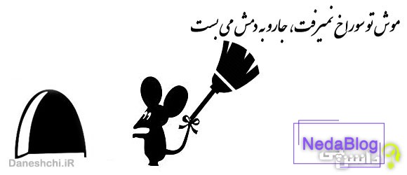 موش تو سوراخ نمیرفت، جارو به دمش می بست
