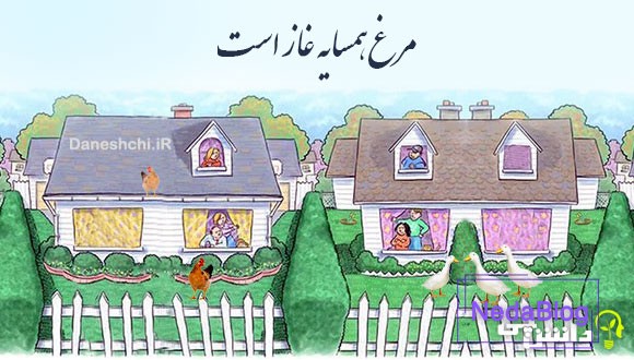 ضرب المثل مرغ همسایه غاز است