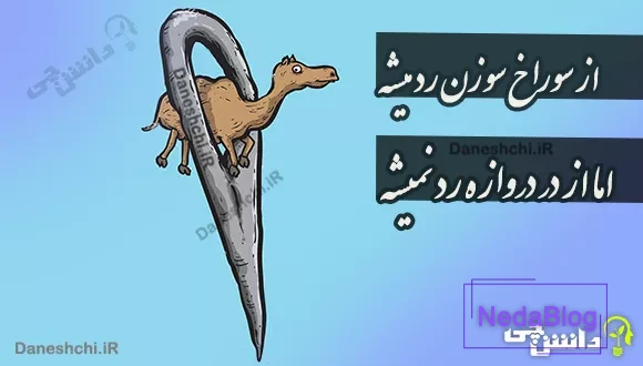 از سوراخ سوزن رد میشه اما از در دروازه رد نمیشه