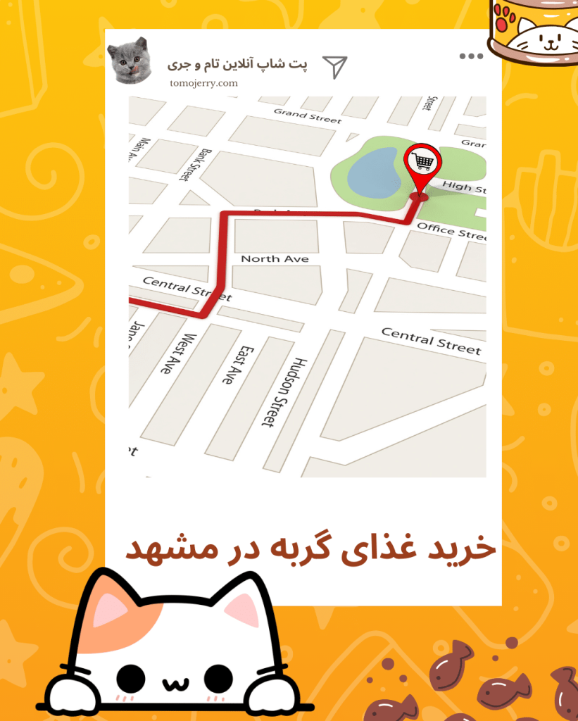 غذای گربه در مشهد