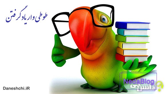 ضرب المثل طوطی وار یاد گرفتن