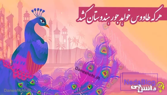 معنی ضرب المثل هر که طاووس خواهد جور هندوستان کشد