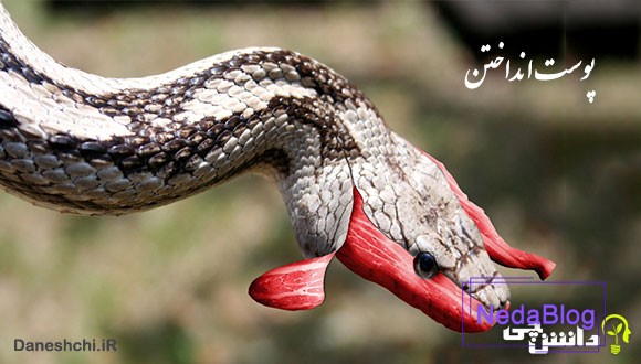 معنی پوست انداختن