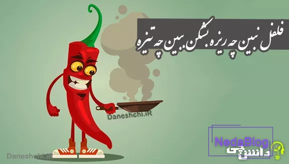 معنی فلفل نبین چه ریزه بشکن ببین چه تیزه