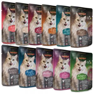  غذای گربه ارزانleonardo