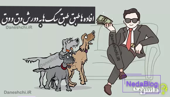 ضرب المثل افاده ها طبق طبق سگ ها به دورش وق و وق