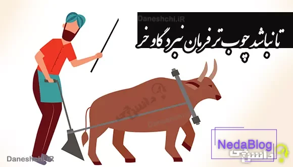 تا نباشد چوب تر فرمان نبرد گاو خر