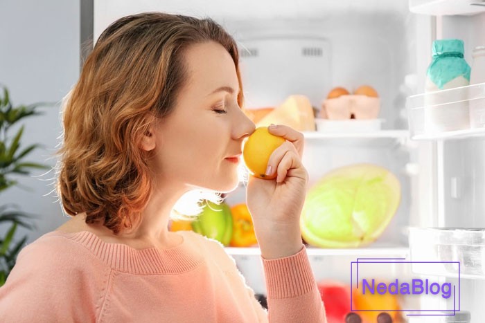 فنگ شویی یخچال