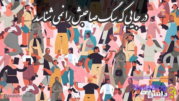 در جایی که سگ صاحبش را نمی شناسد