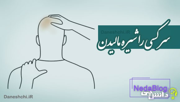 سر کسی را شیره مالیدن 