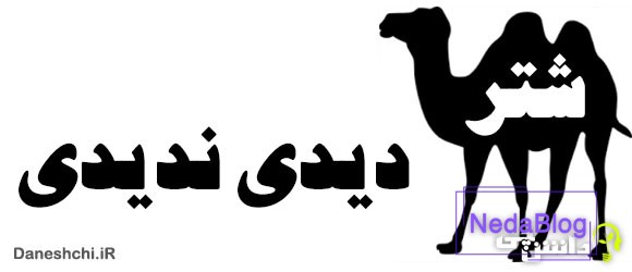 شتر دیدی ندیدی