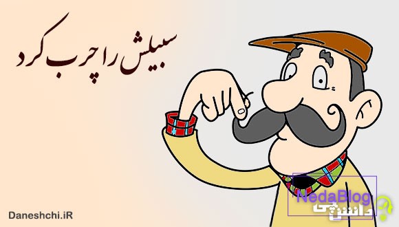 سبیلش را چرب کرد 