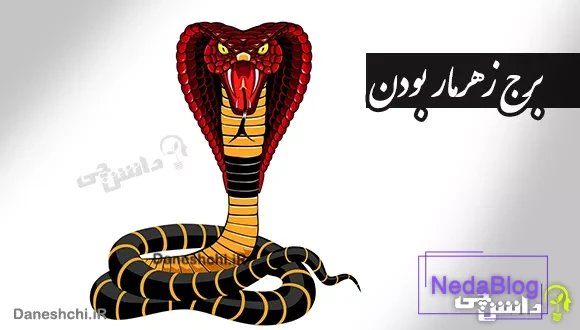 برج زهر مار بودن