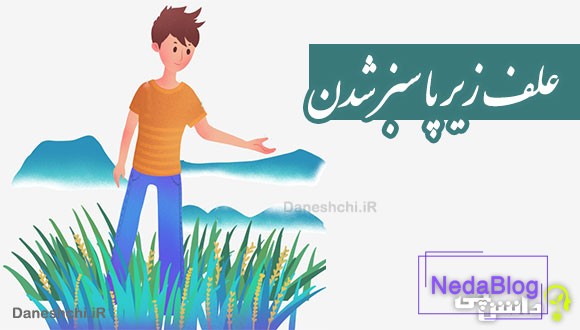 علف زیر پا سبز شدن