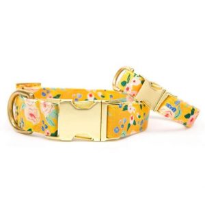 قلاده مناسب برای هر نژاد