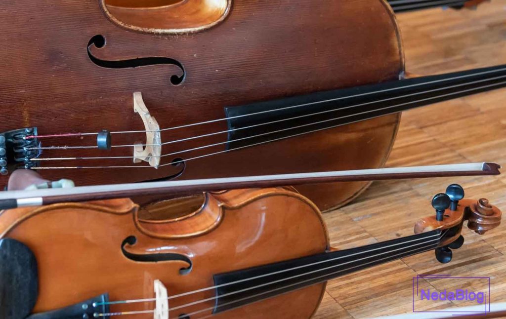 حقایق جالب درباره سازهای زهی