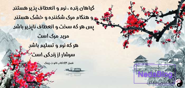 تائو و تائوئیسم