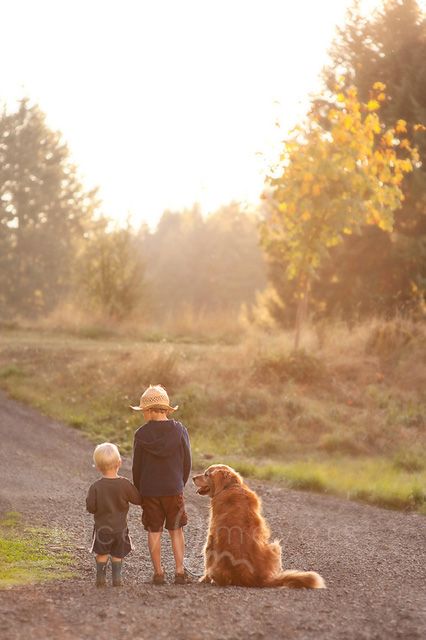 مزایای داشتن پت در خانه