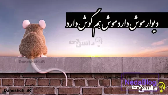 دیوار موش دارد موش هم گوش دارد