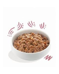 کنسرو و پوچ گربه