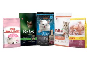 غذای بچه گربه