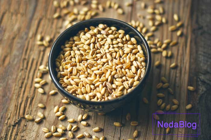 کاسه برکت گندم در فنگ شویی ثروت