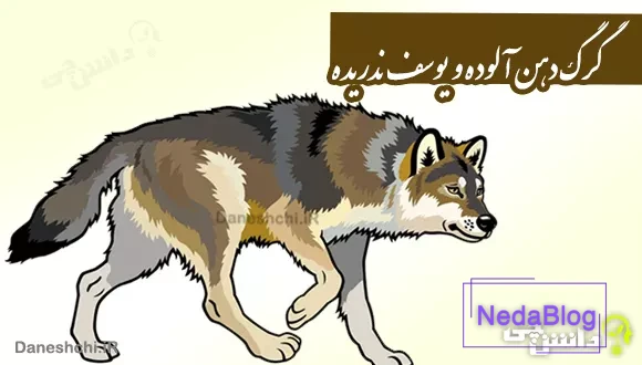 گرگ دهن آلوده و یوسف ندریده