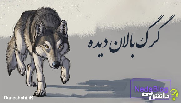 گرگ بالان دیده