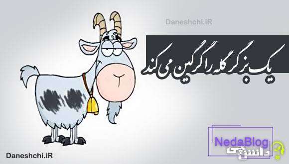 یک بز گر گله را گرگین می کند 