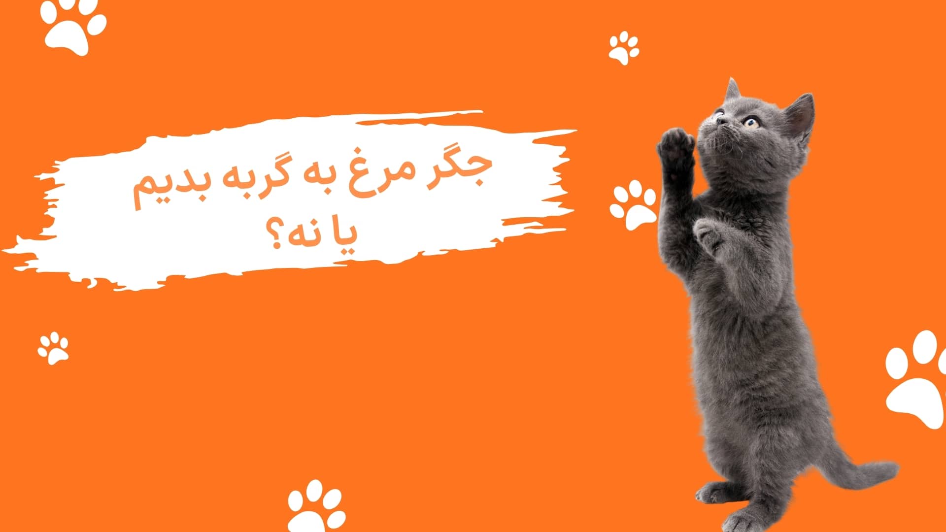 غذای گربه جوسرا