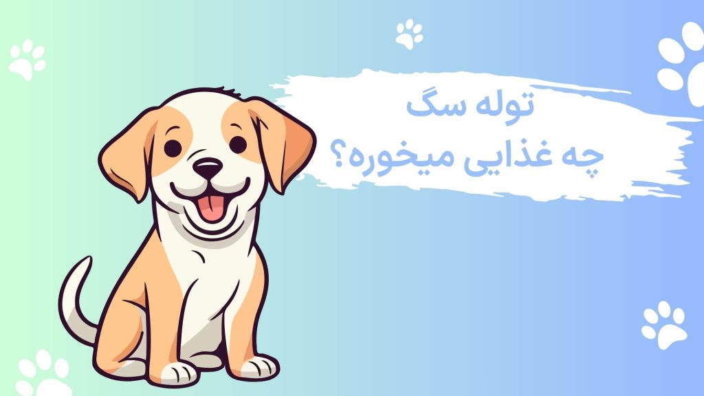 غذای توله سگ