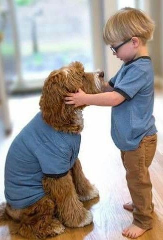 مزایای داشتن پت در خانه