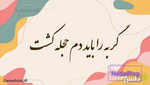 گربه را باید دم حجله کشت 