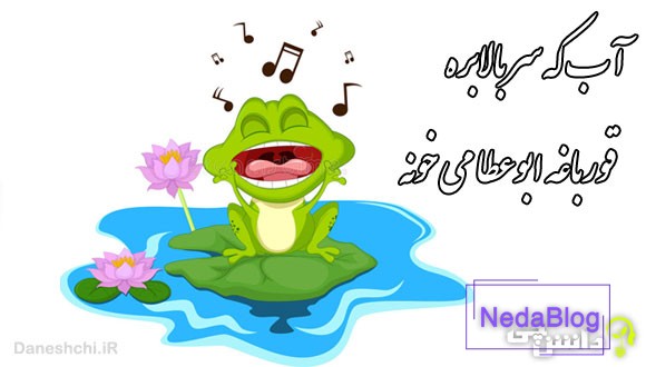 آب که سر بالا بره قورباغه ابوعطا می خونه