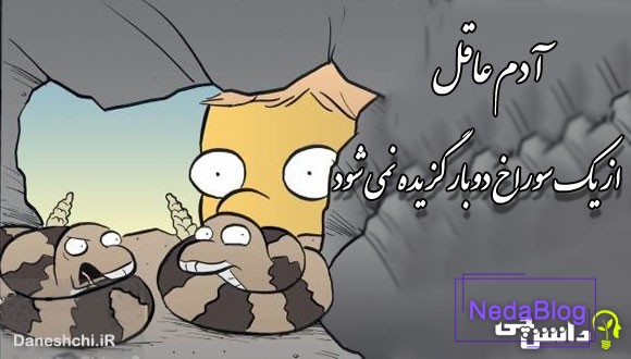 آدم عاقل از یک سوراخ دوبار گزیده نمی شود
