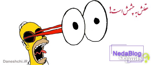 معنی ضرب المثل عقلش به چشمش است