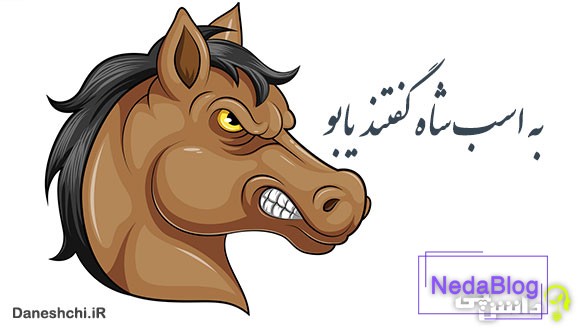 معنی به اسب شاه گفتند یابو