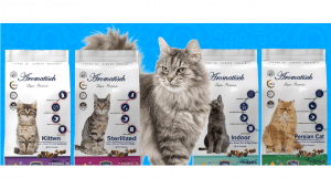 غذای گربه ارزان