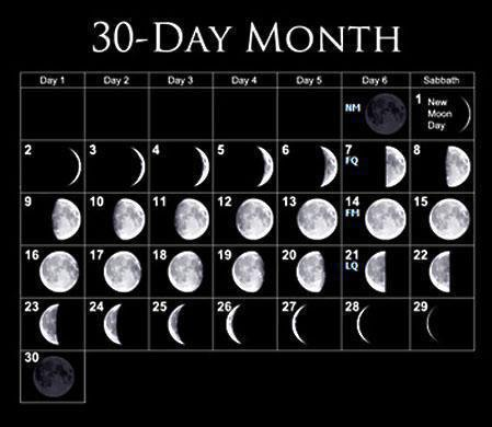 جواب فعالیت صفحه 72 علوم چهارم