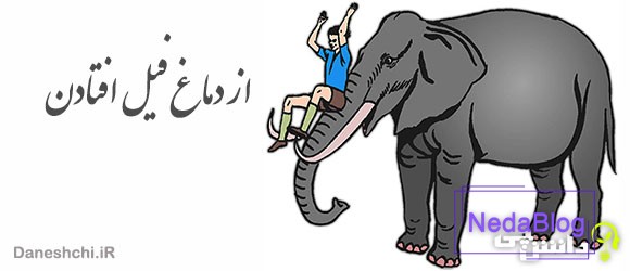 ضرب المثل از دماغ فیل افتادن