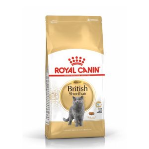 غذای خشک گربه بالغ موکوتاه بریتانیایی